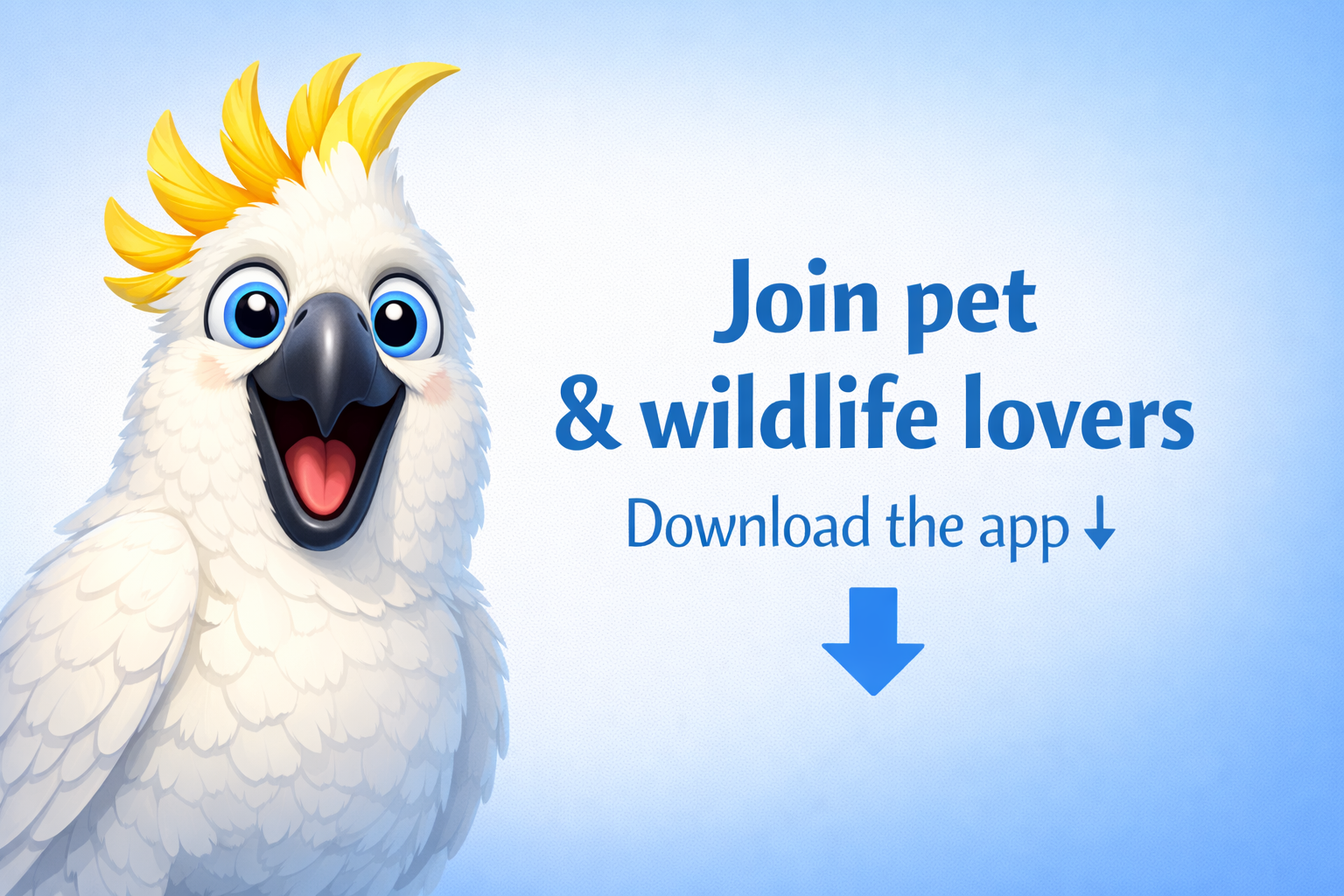 Wagter download teaser