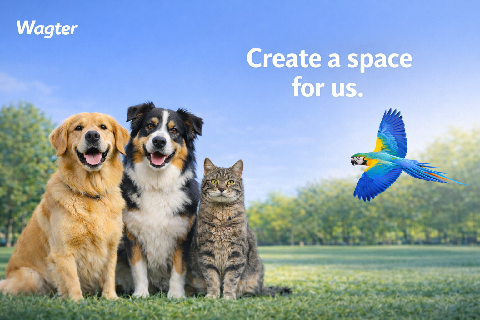 Pets banner